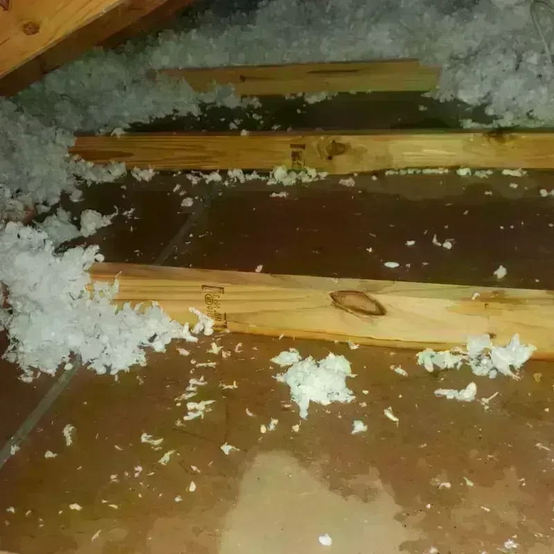 Attic Water Damage in Dunnigan, CA